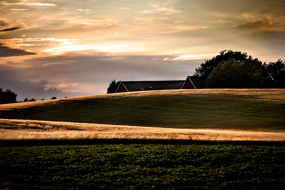 Sunset at the field