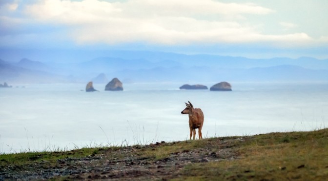 Oregon view