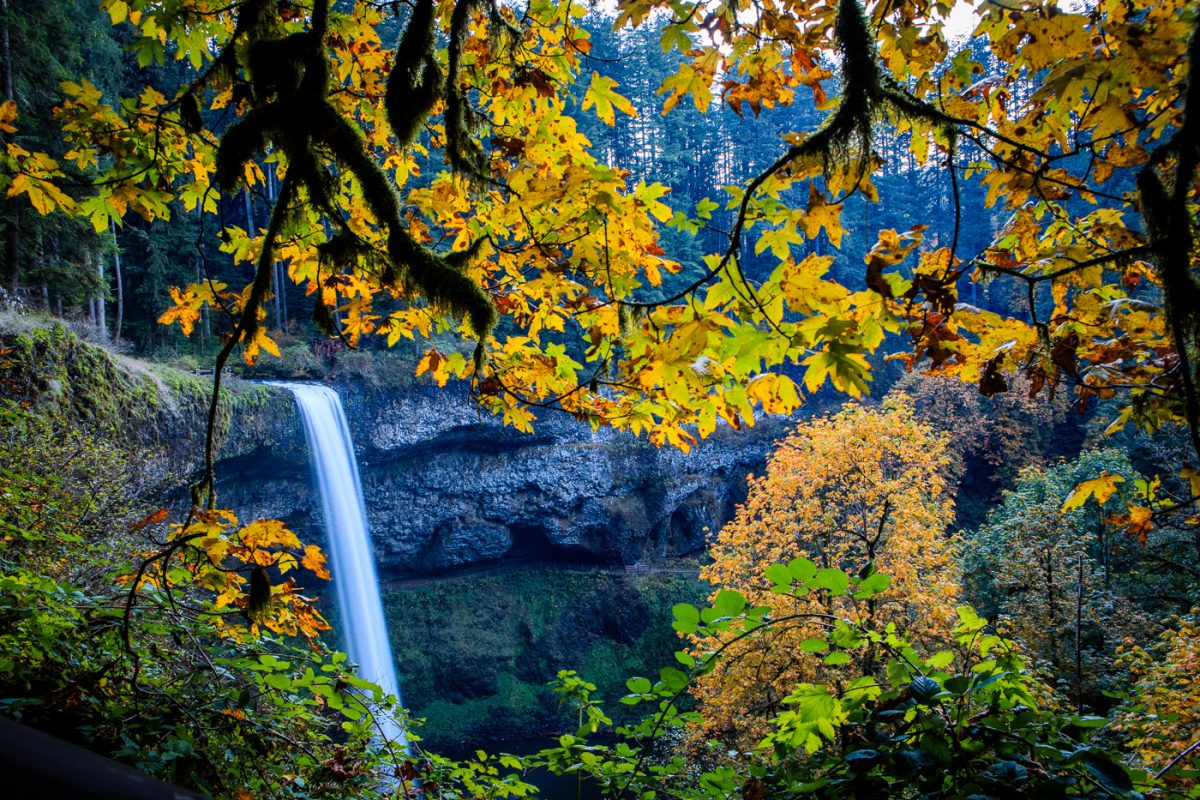 Silver Falls State Park