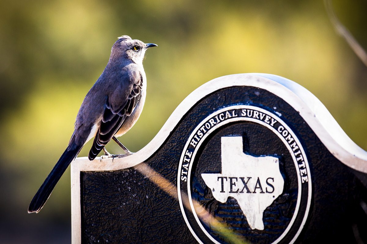 Fredericksburg, Texas