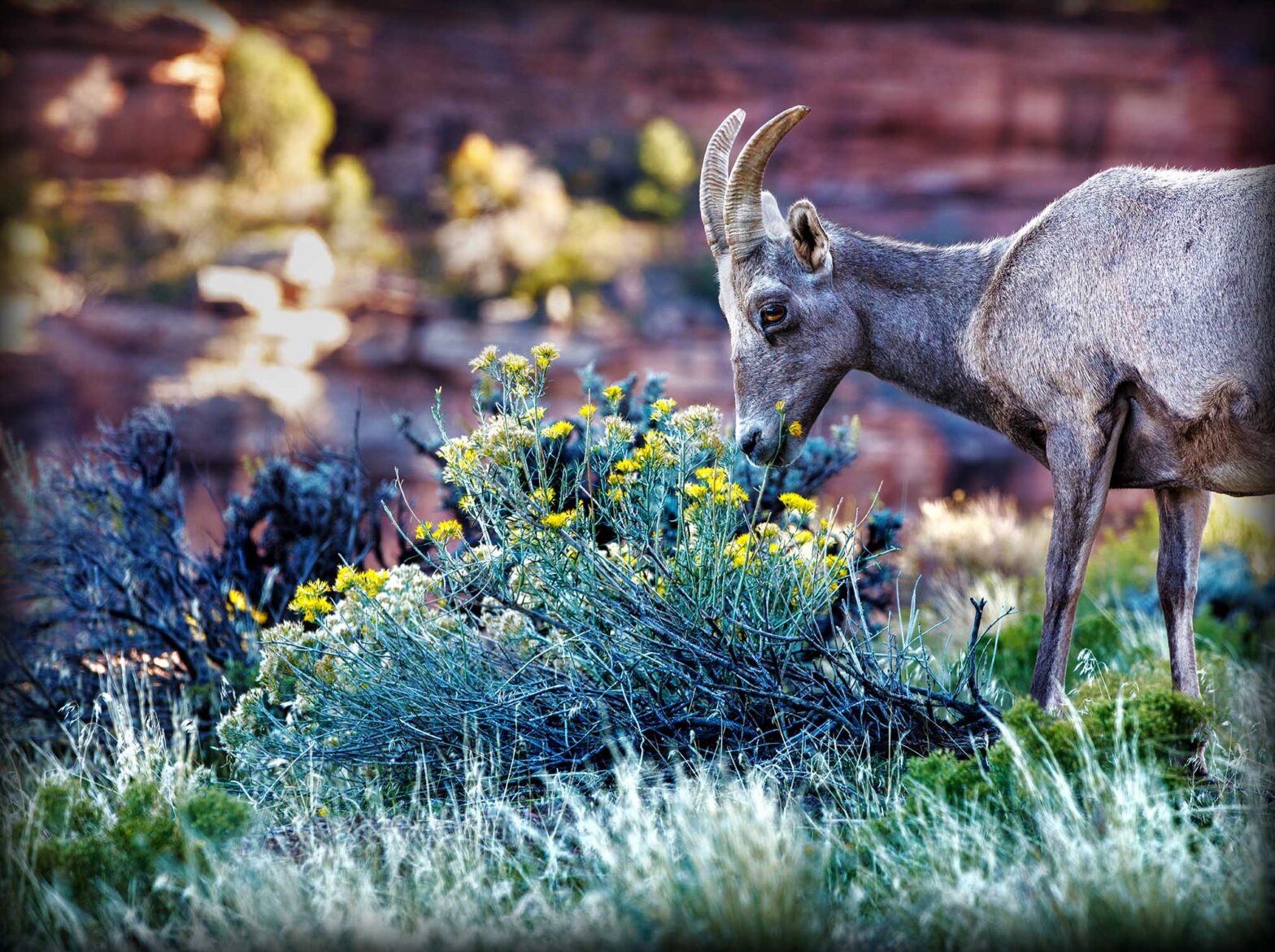 Colorado Monument