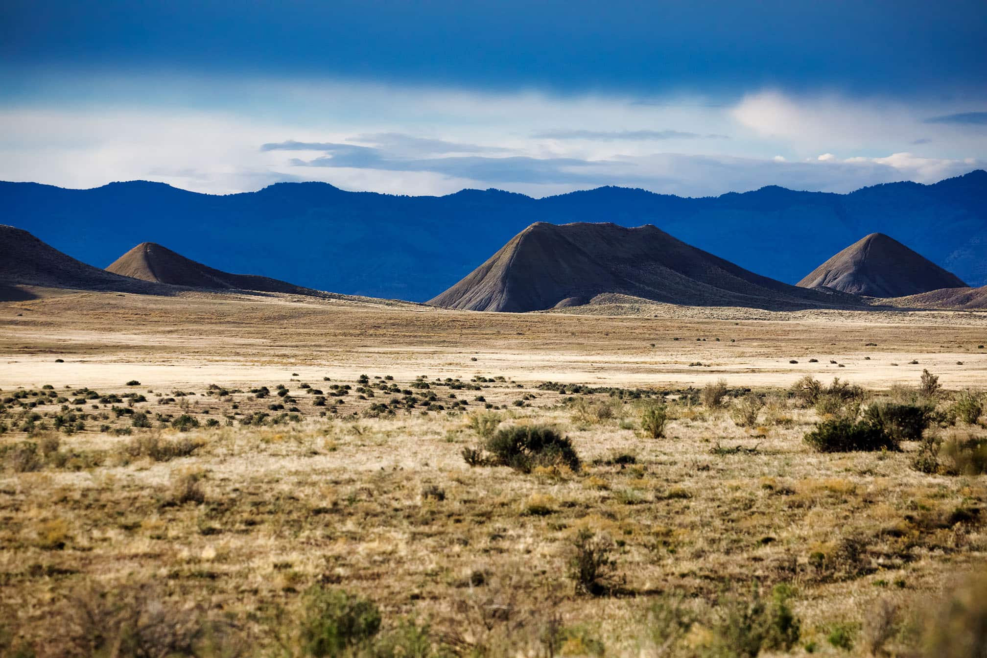 North Fruita Desert